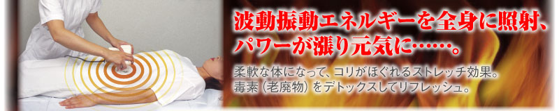 波動振動エネルギーを全身に照射、パワーが漲り元気に…。　柔軟な体になって、コリがほぐれるストレッチ効果。毒素（老廃物）をデトックスしてリフレッシュ。